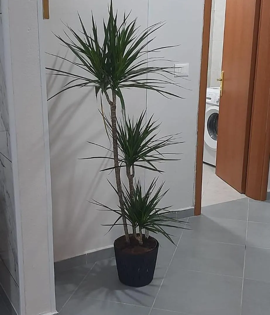 Apartamento Huge Terrace With Sea View Durrës